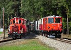 Lokparaden und Doppeltraktion 60 Jahre Diesellok 2095 (13)